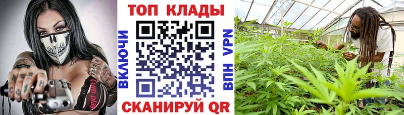 Наркошоп купить А ПВП  Галлюциногенные грибы  ГАШИШ  Каннабис  Бутират  Меф  Кокаин  Каргат
