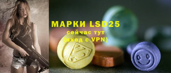 прущие грибы Новодвинск