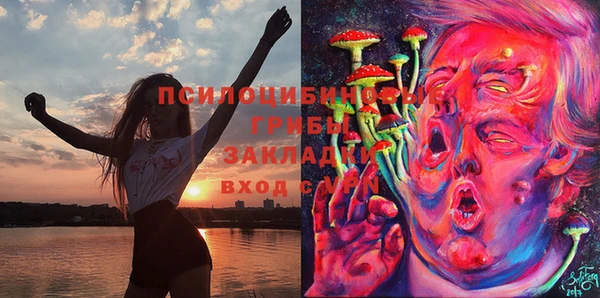 соль ск Новокубанск