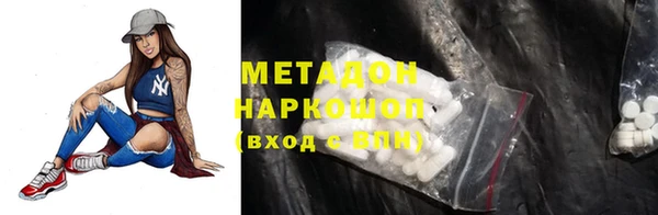 прущие грибы Новодвинск
