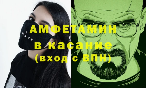 прущие грибы Новодвинск