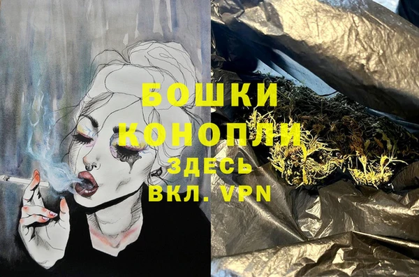 прущие грибы Новодвинск
