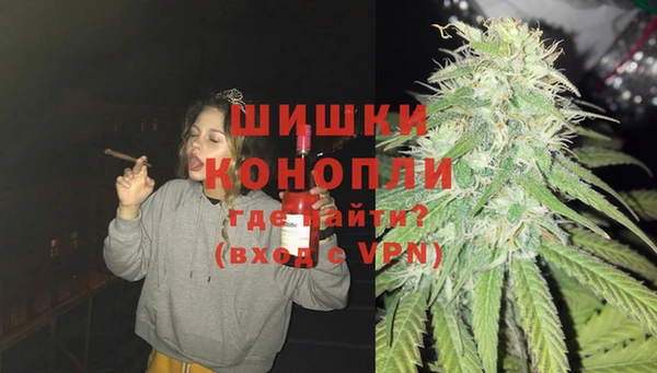 apvp Новозыбков
