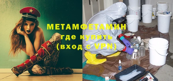прущие грибы Новодвинск