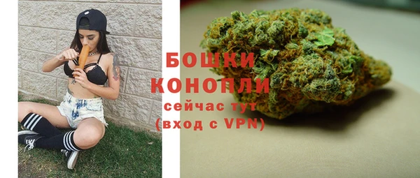 прущие грибы Новодвинск