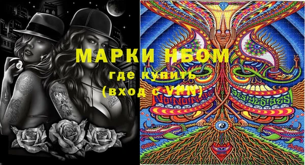 прущие грибы Новодвинск