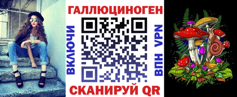 Купить  Каргат  Галлюциногенные грибы Psilocybe 